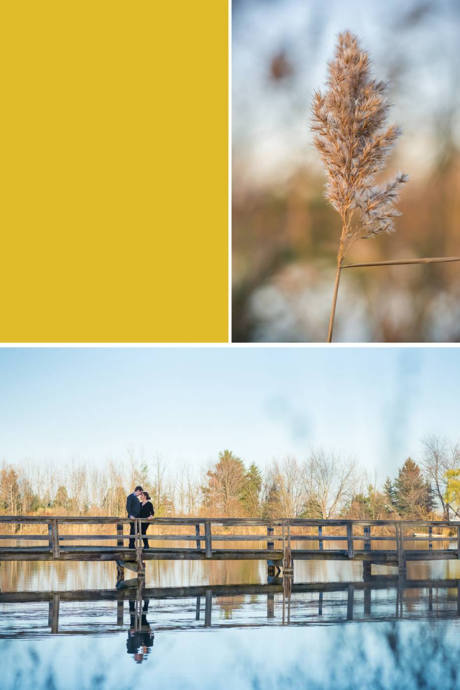 Engagement Photography Chatham On