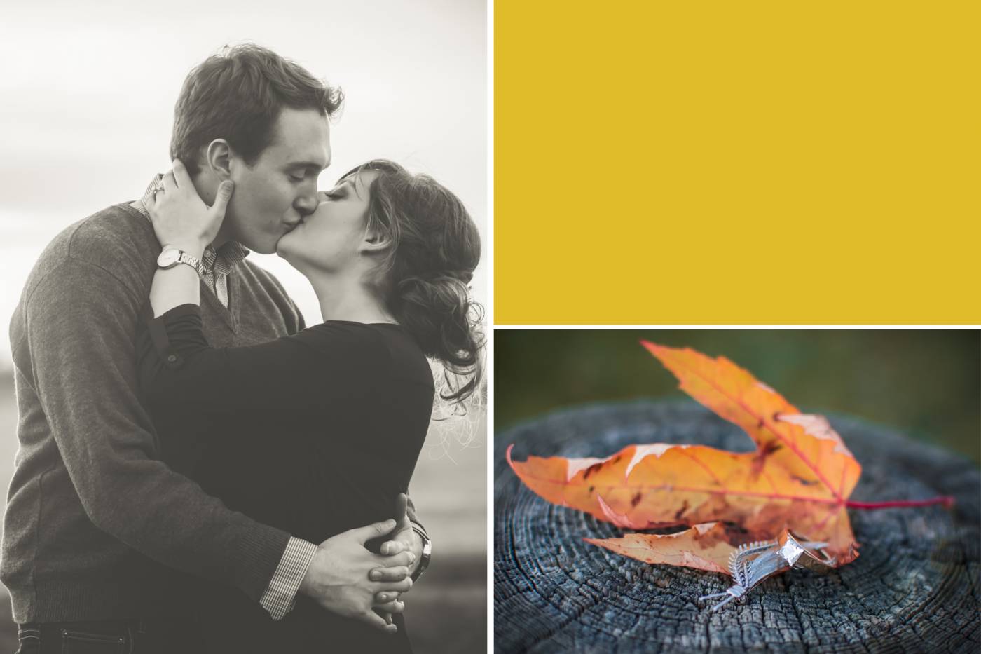 Tanya Sinnett Chatham Photographer