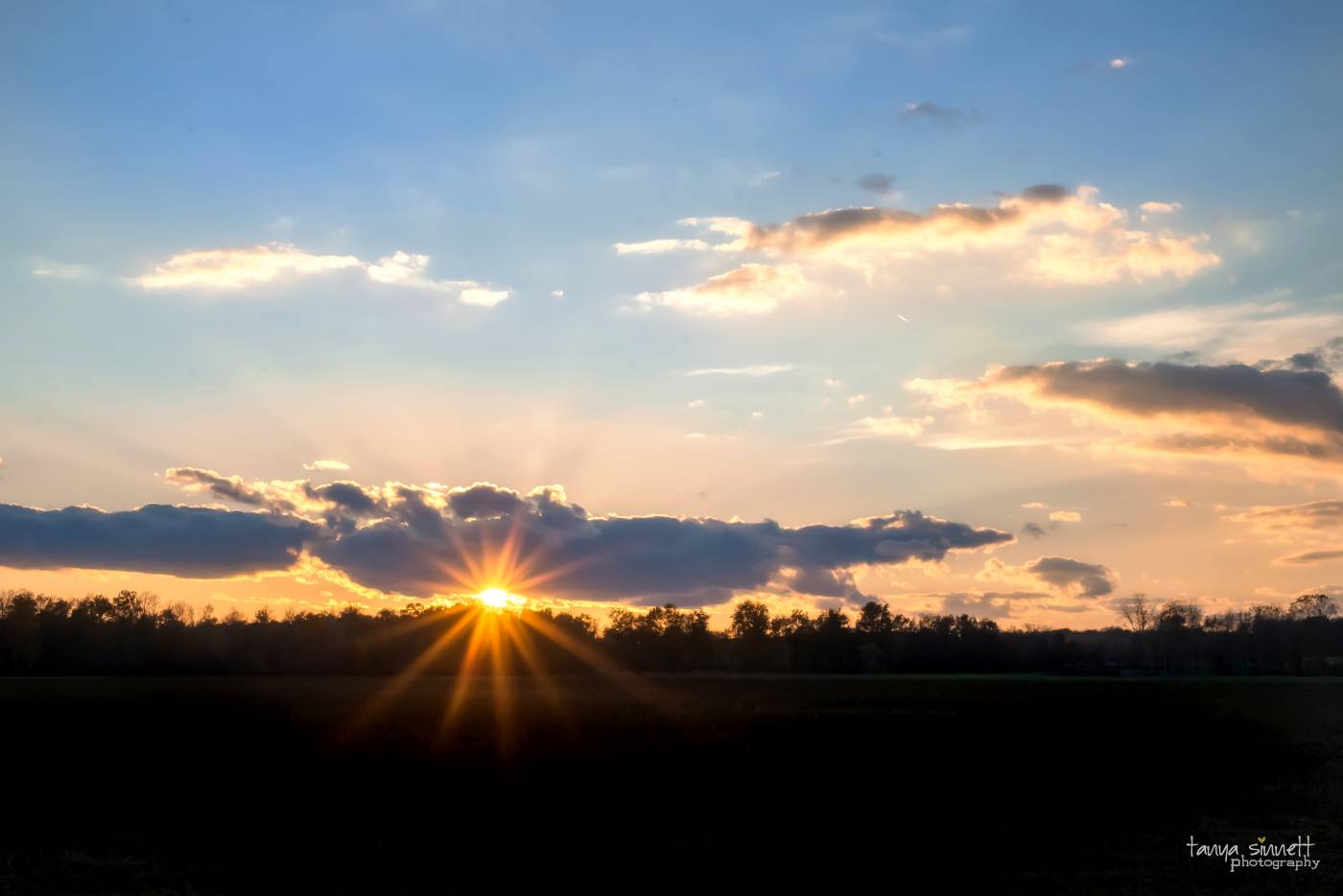 tannyasinnettphotography