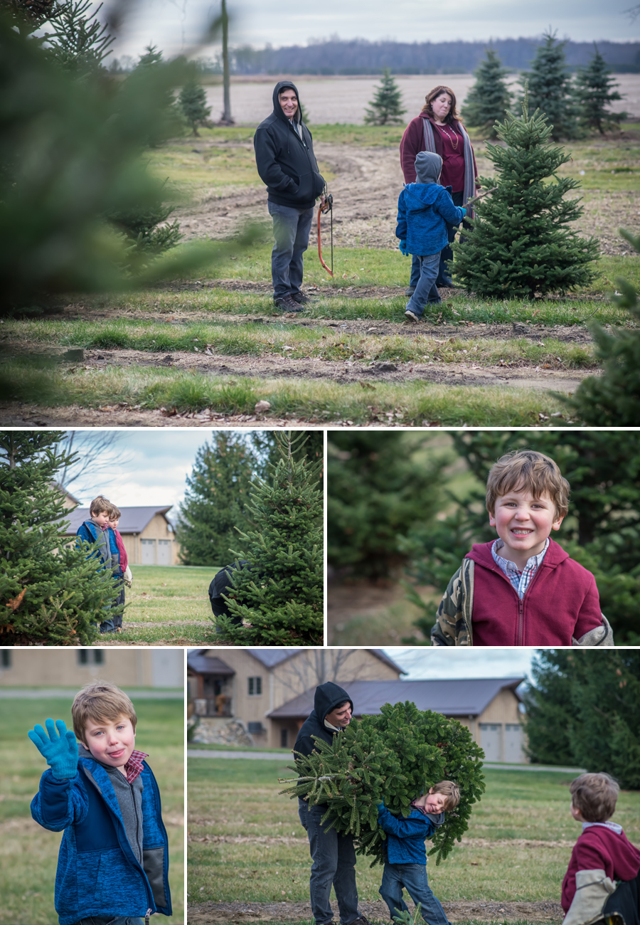 Puddleford Tree Farm