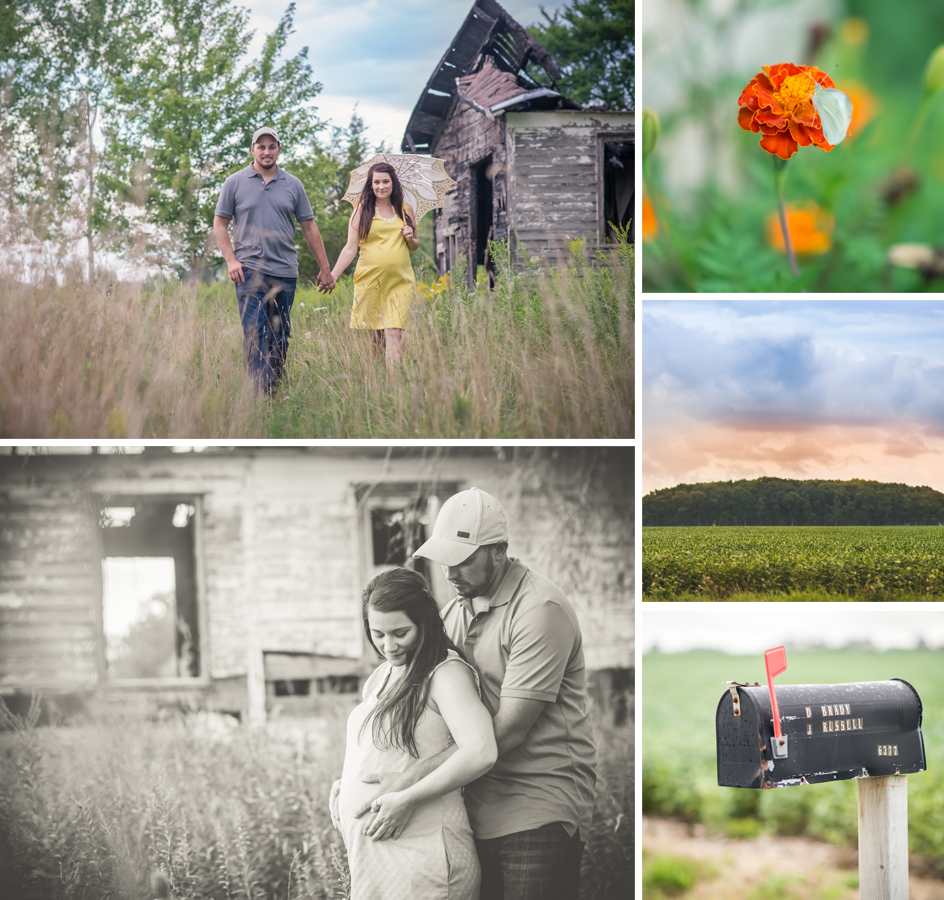 Merlin Ontario Photography