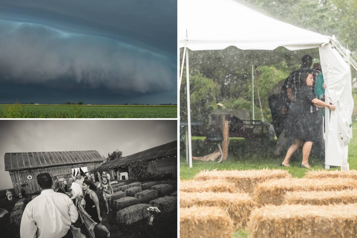 Chatham Photographer