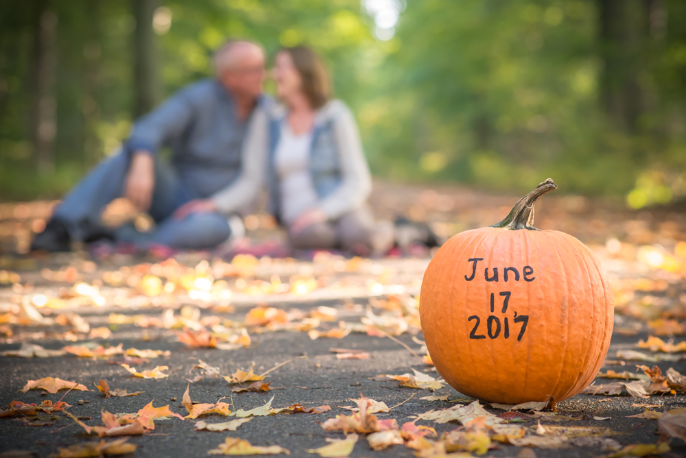 Save the Date wedding Picture