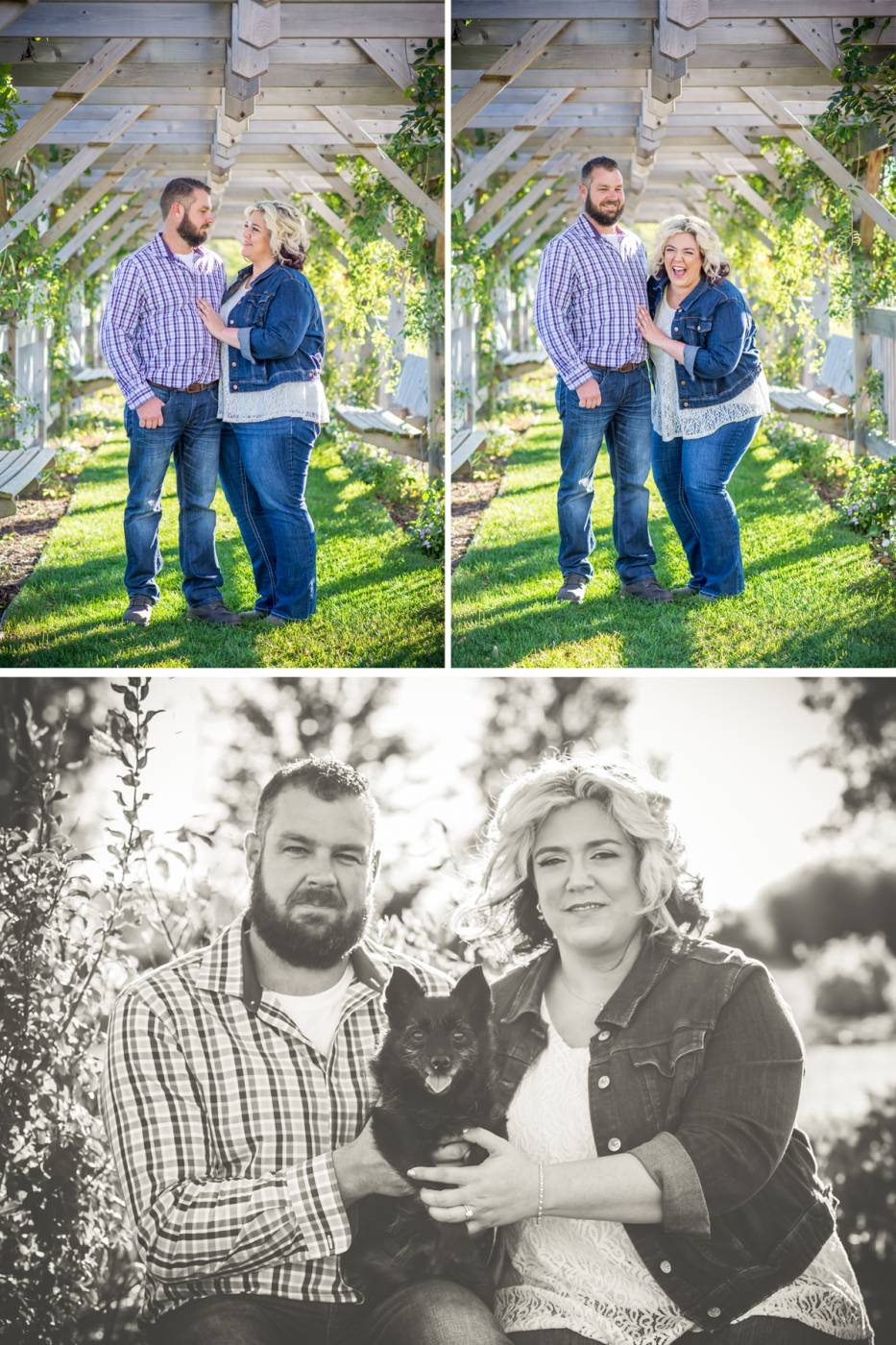 Wilkesport Greenhill Gardens